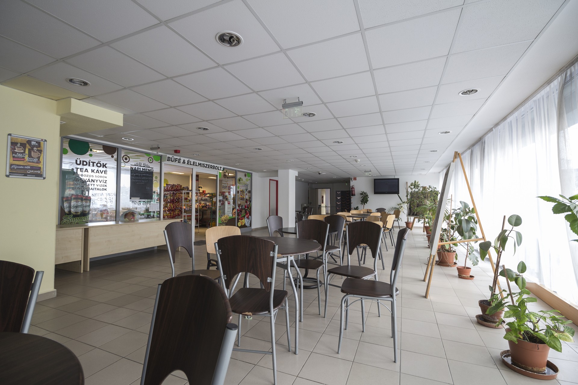 Baross &Uacute;ti Di&aacute;khotel 